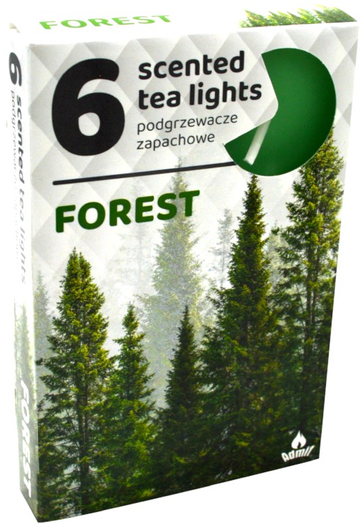 forest